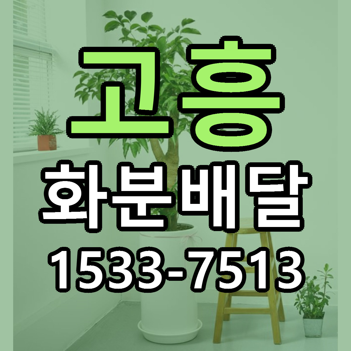 고흥 화분배달 근처꽃집 싼곳 빠른배송 안내