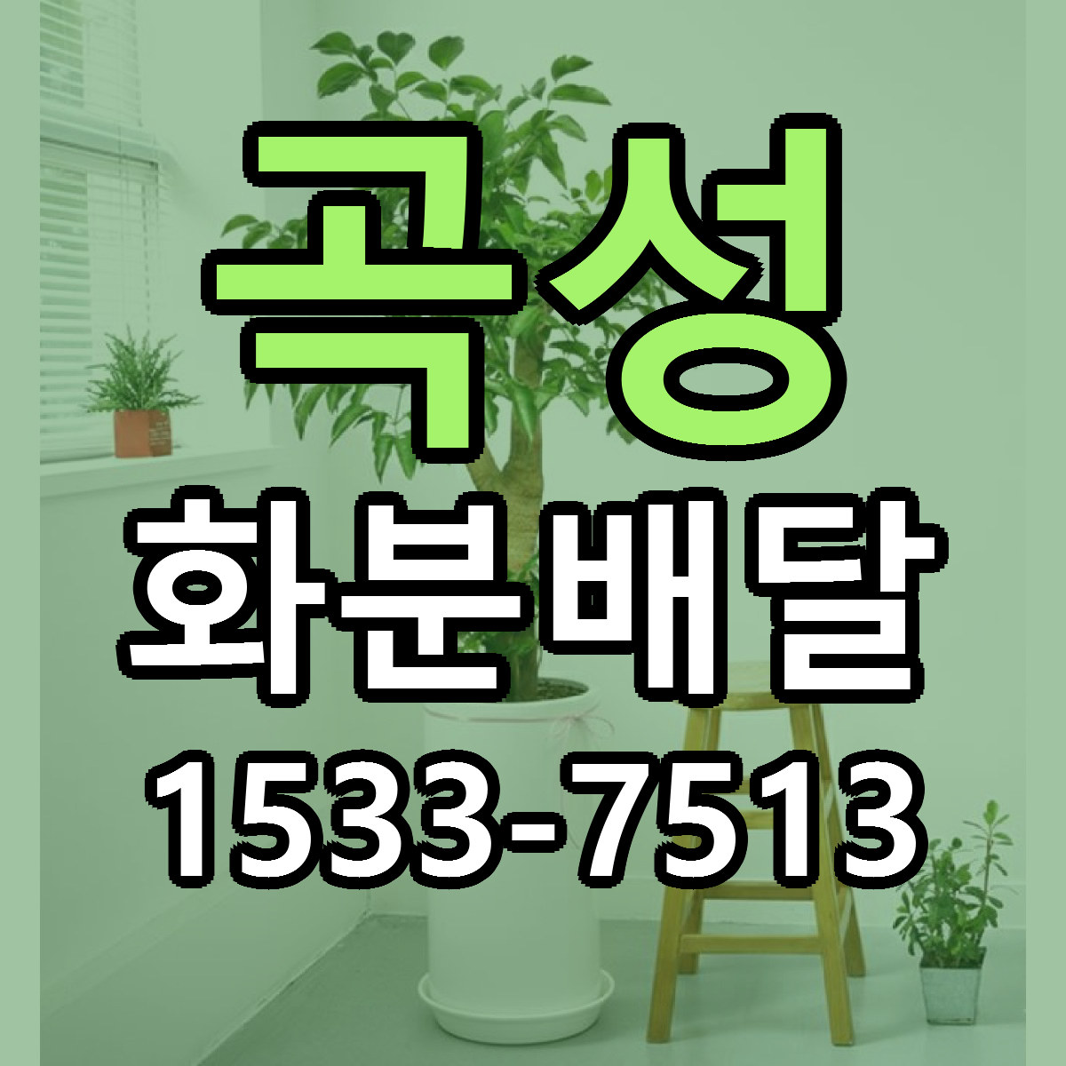 곡성 화분배달 싼곳 당일배송 리본문구 작성
