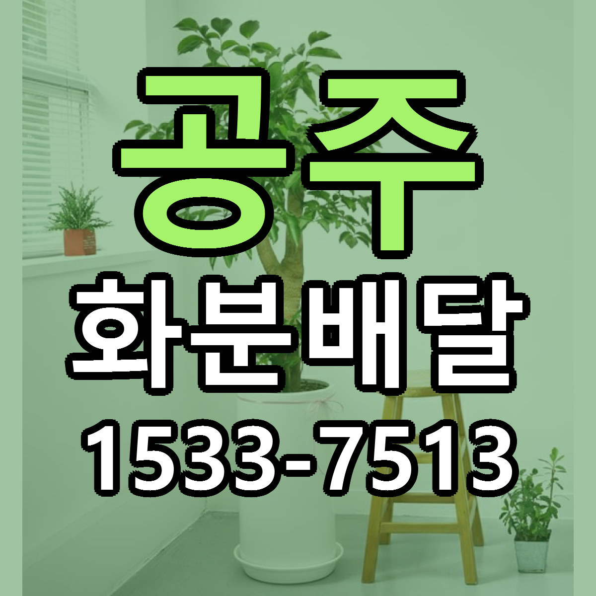 공주 화분배달 빠른배송 가격 저렴한곳 찾기