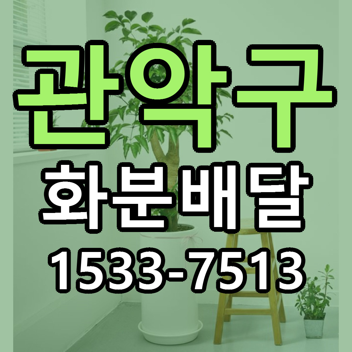 관악구 화분배달 빠른배송 싼곳 가격 문의