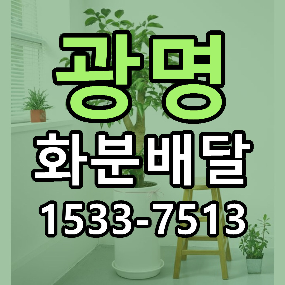 광명 화분배달 근처꽃집 당일배송 가격 안내