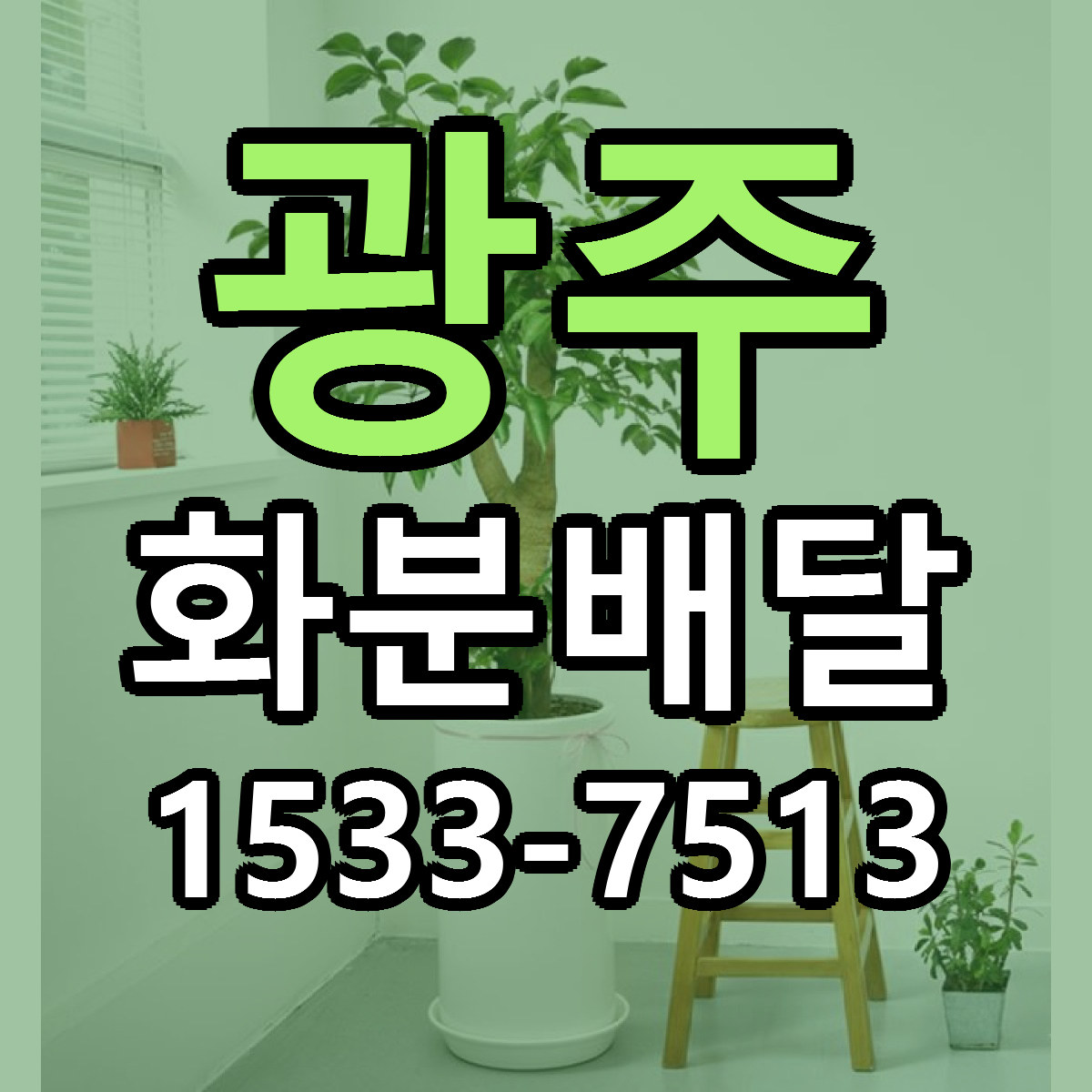 광주 화분배달 리본문구 서비스 저렴한곳 빠른배송