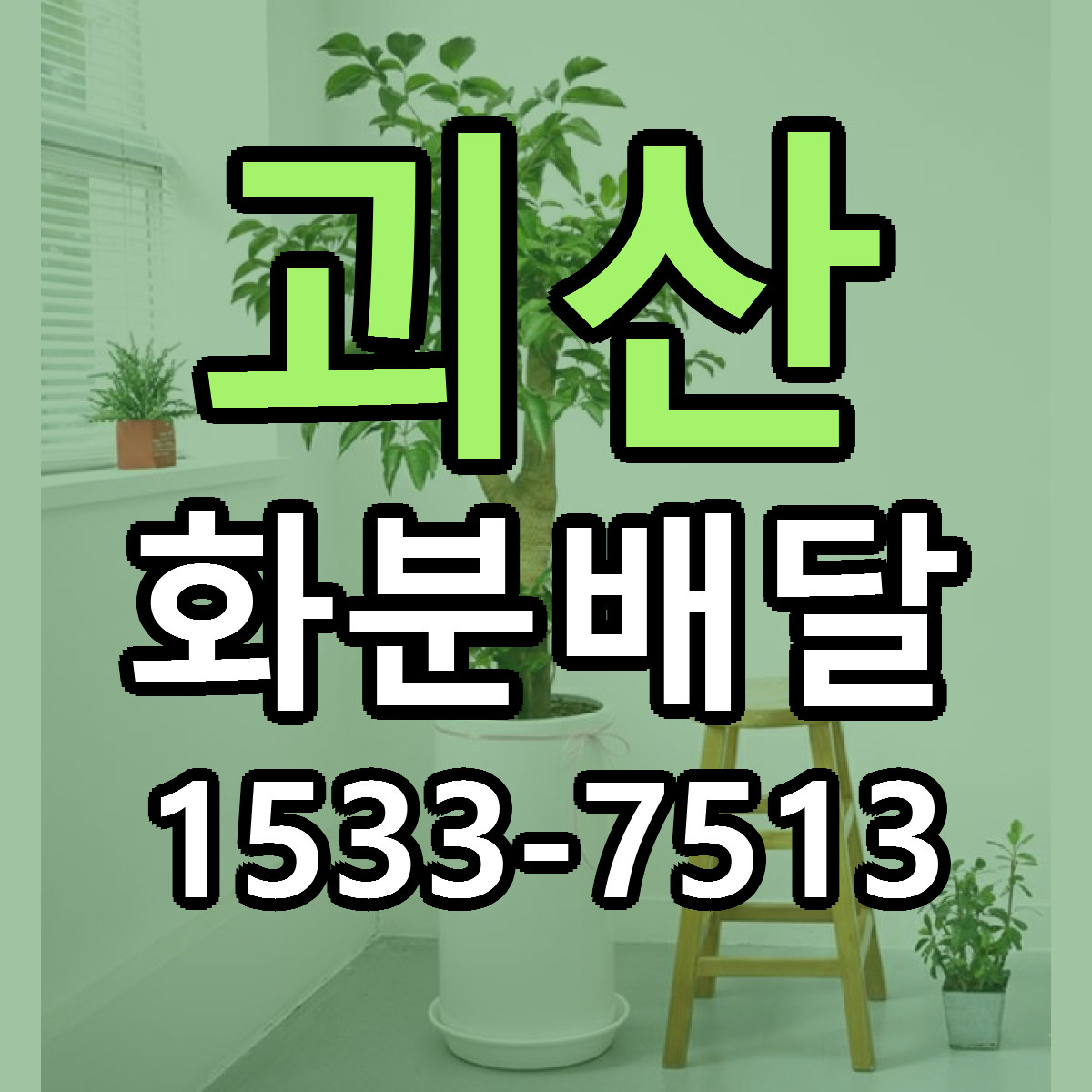괴산 화분배달 당일배송 빠른배송 싼곳 찾기