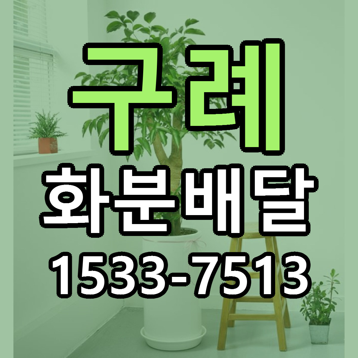 구례 화분배달 당일배송 리본문구 빠른배송 서비스