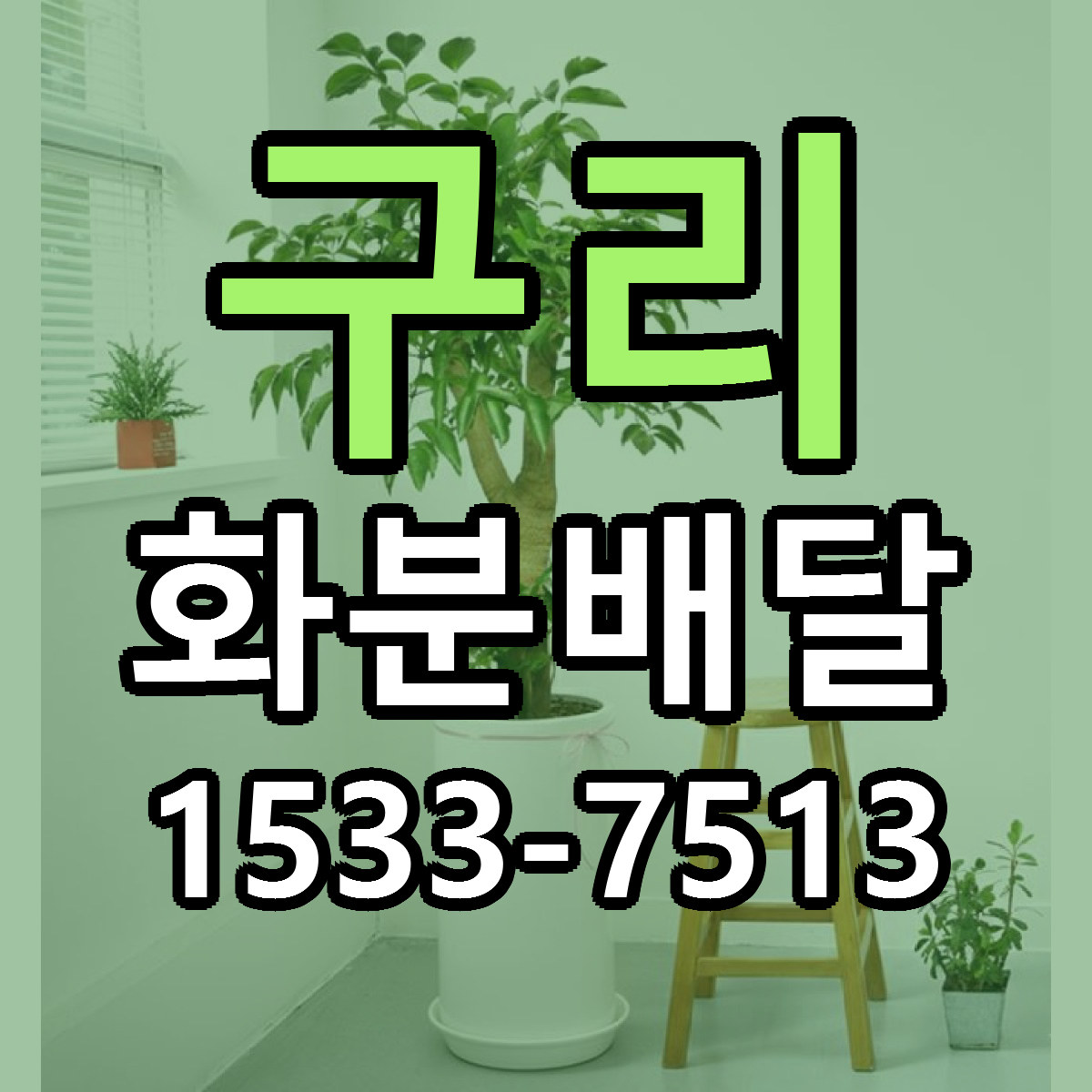 구리 화분배달 당일배송 빠른배송 싼곳 찾기