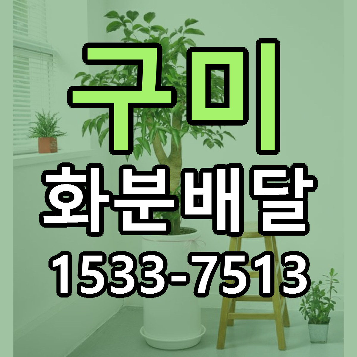 구미 화분배달 가격 착한 싼곳 당일배송 안내