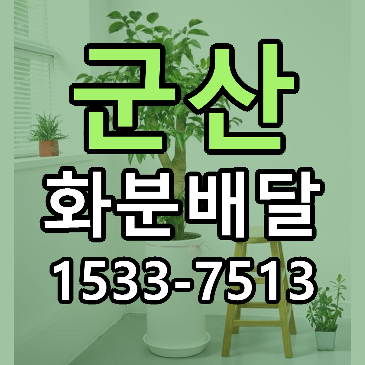 군산 화분배달 당일배송 빠른배송 싼곳 찾기