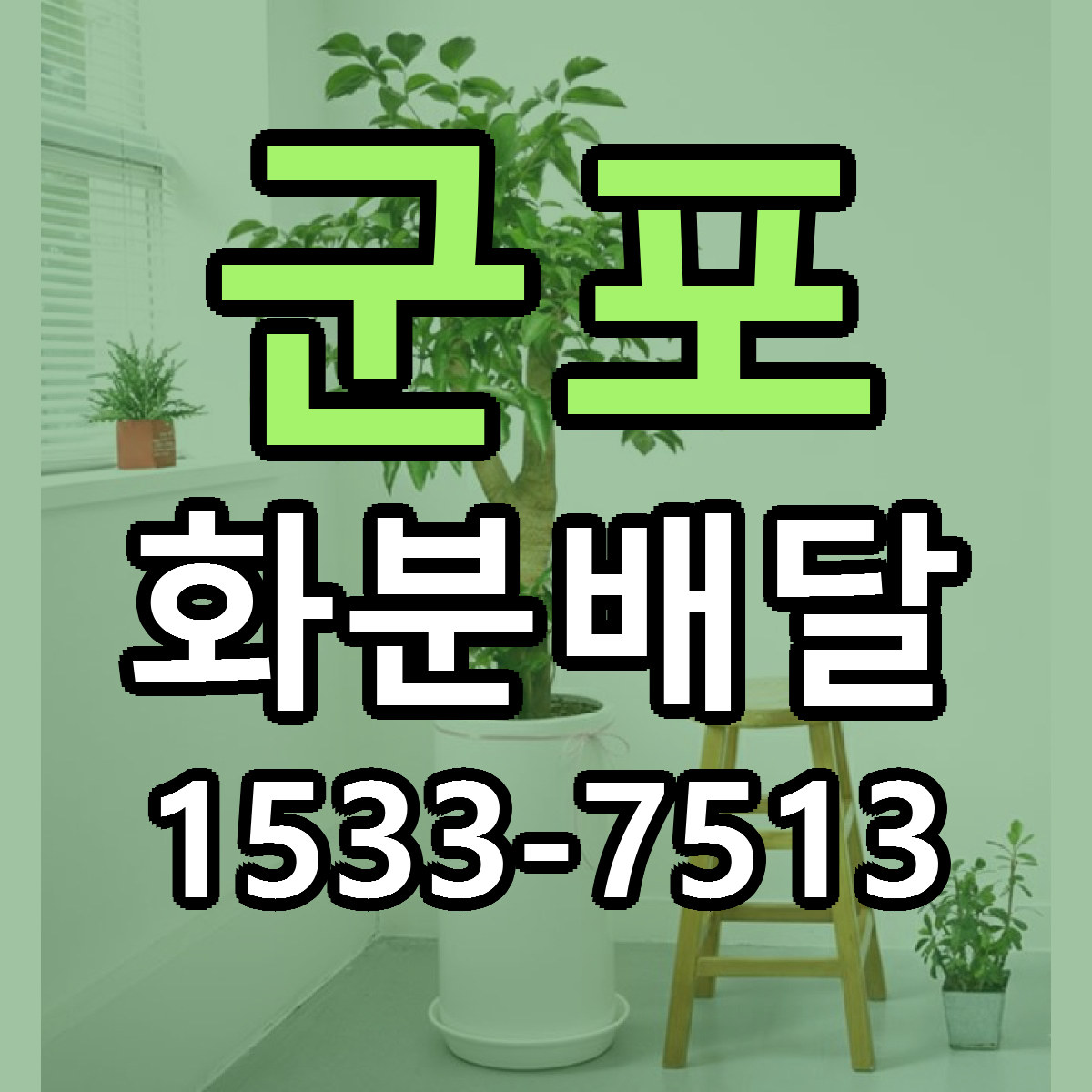 군포 화분배달 근처꽃집 당일배송 싼곳 추천