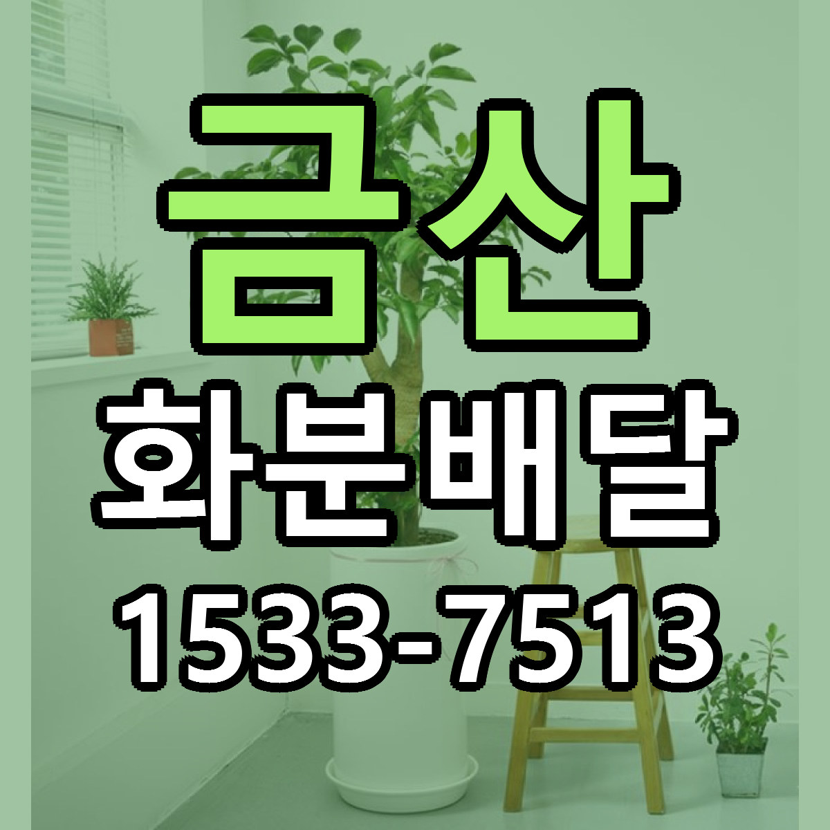 금산 화분배달 싼곳 당일배송 리본문구 작성