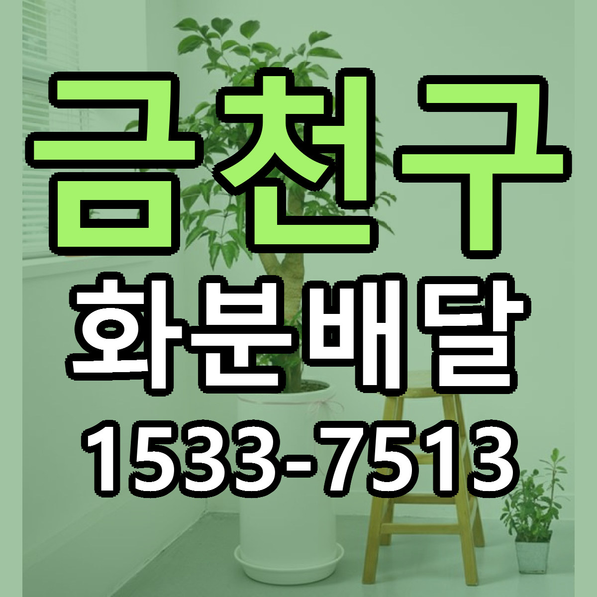 금천구 화분배달 싼곳 당일배송 리본문구 작성