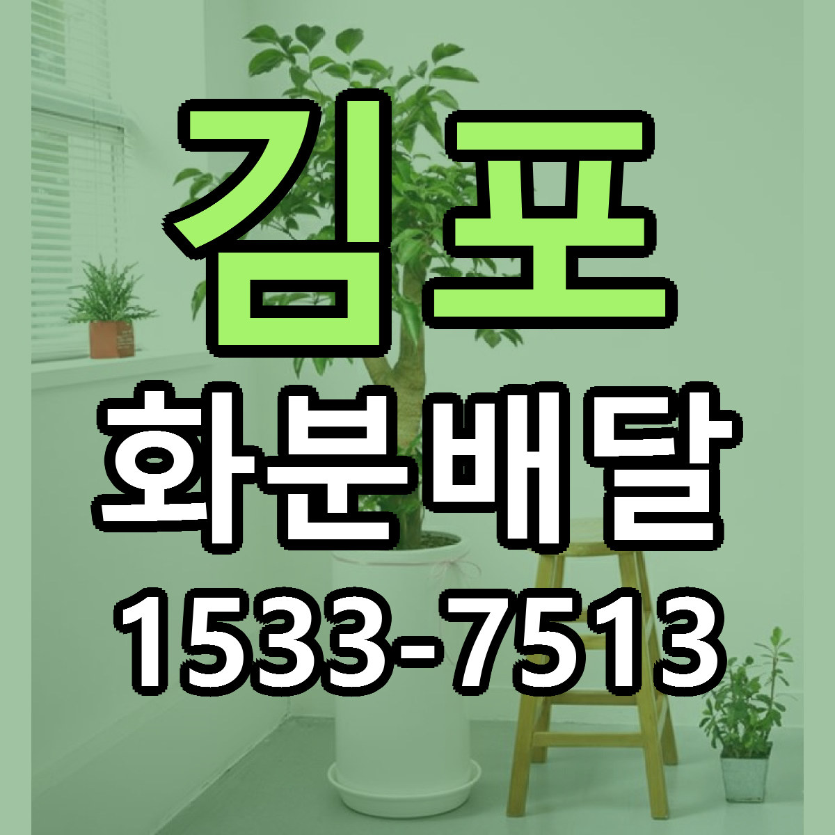 김포 화분배달 당일배송 가격 저렴한곳 추천