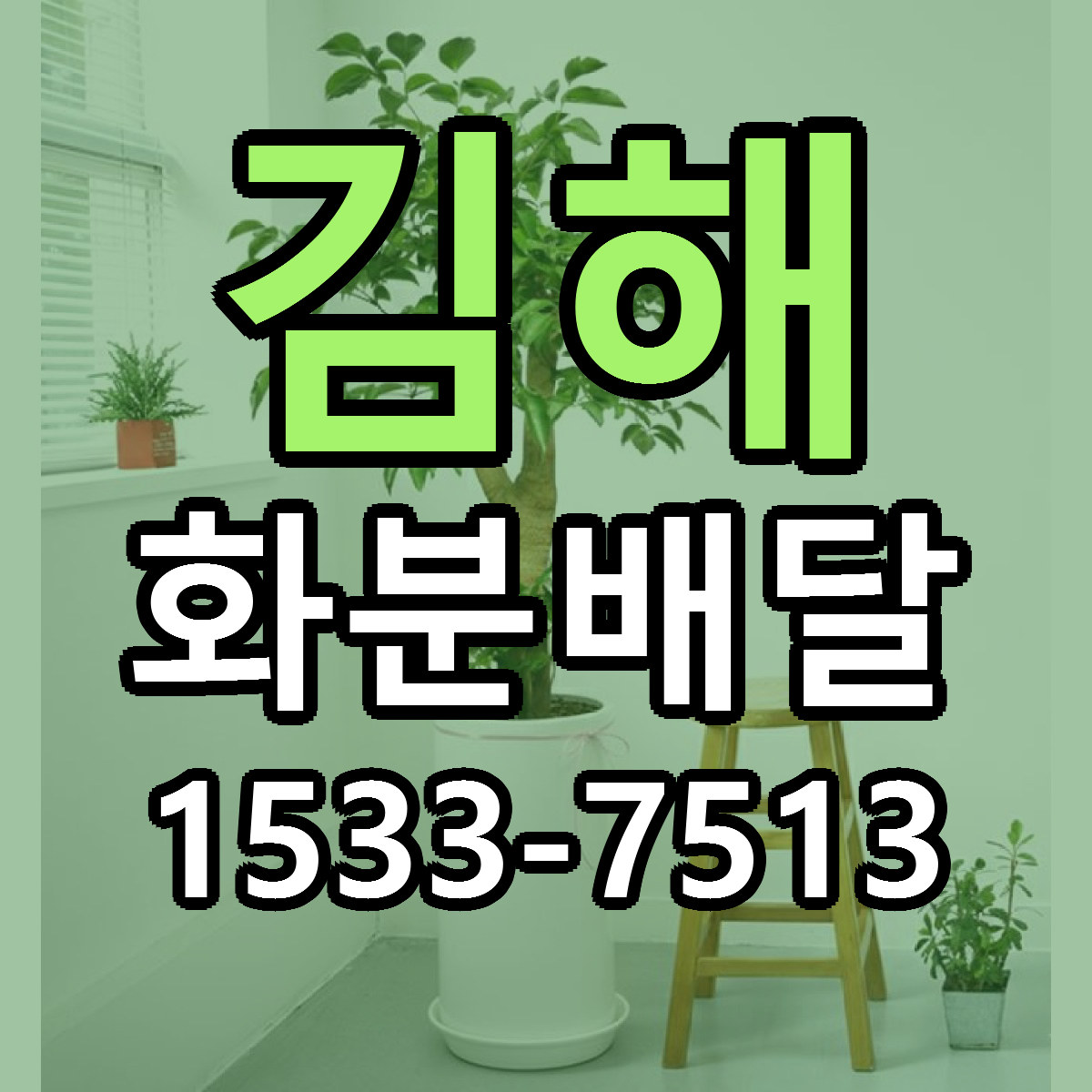 김해 화분배달 싼곳 당일배송 리본문구 작성
