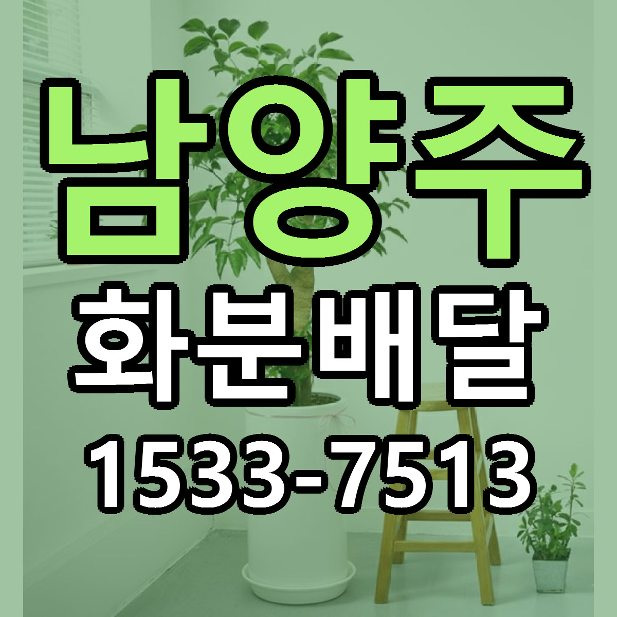 남양주 화분배달 리본문구 싼곳 빠른배송 예약