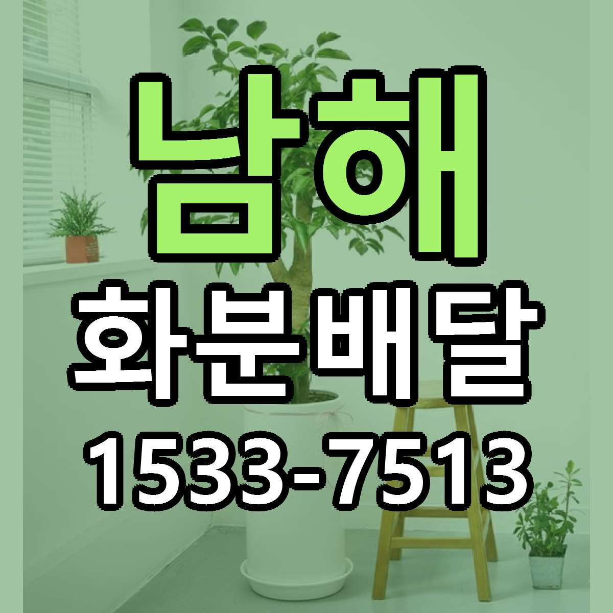 남해 화분배달 싼곳 당일배송 빠른배송 추천