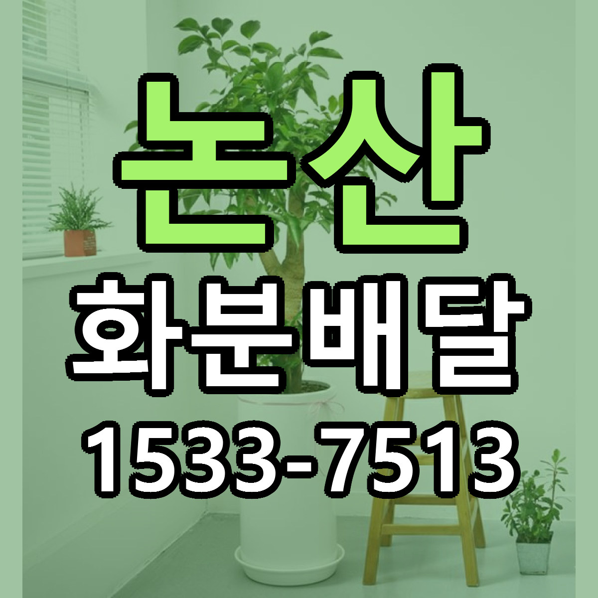 논산 화분배달 저렴한곳 당일배송 근처꽃집 추천