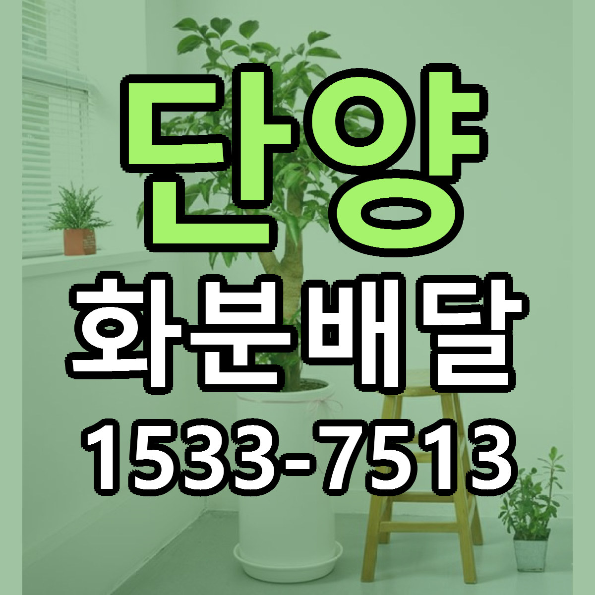 단양 화분배달 리본문구 근처꽃집 저렴한곳 예약