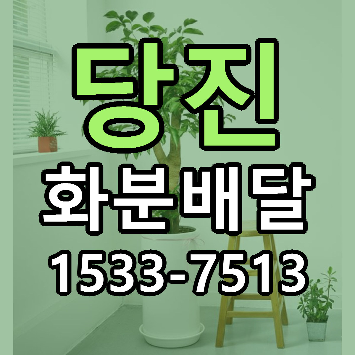 당진 화분배달 싼곳 빠른배송 리본문구 무료