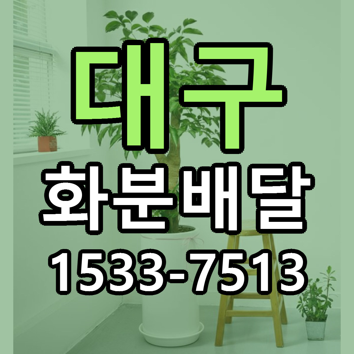 대구 화분배달 당일배송 리본문구 싼곳 찾기