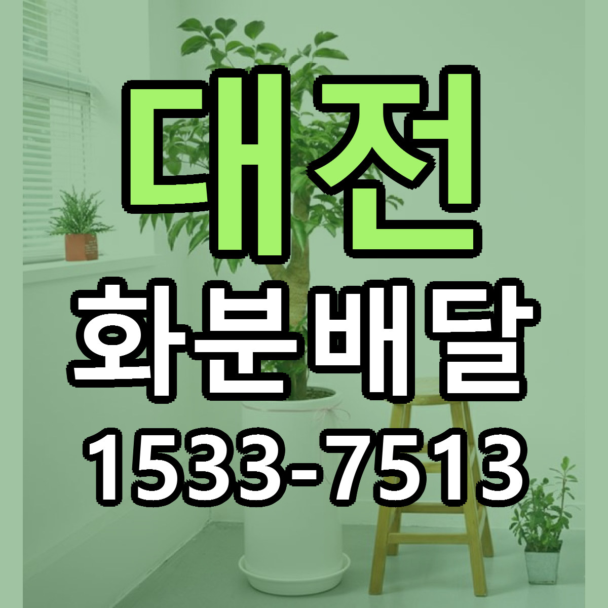 대전 화분배달 당일배송 근처꽃집 싼곳 비교