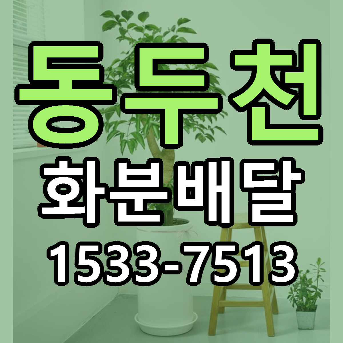 동두천 화분배달 가격 만족 저렴한곳 리본문구 작성