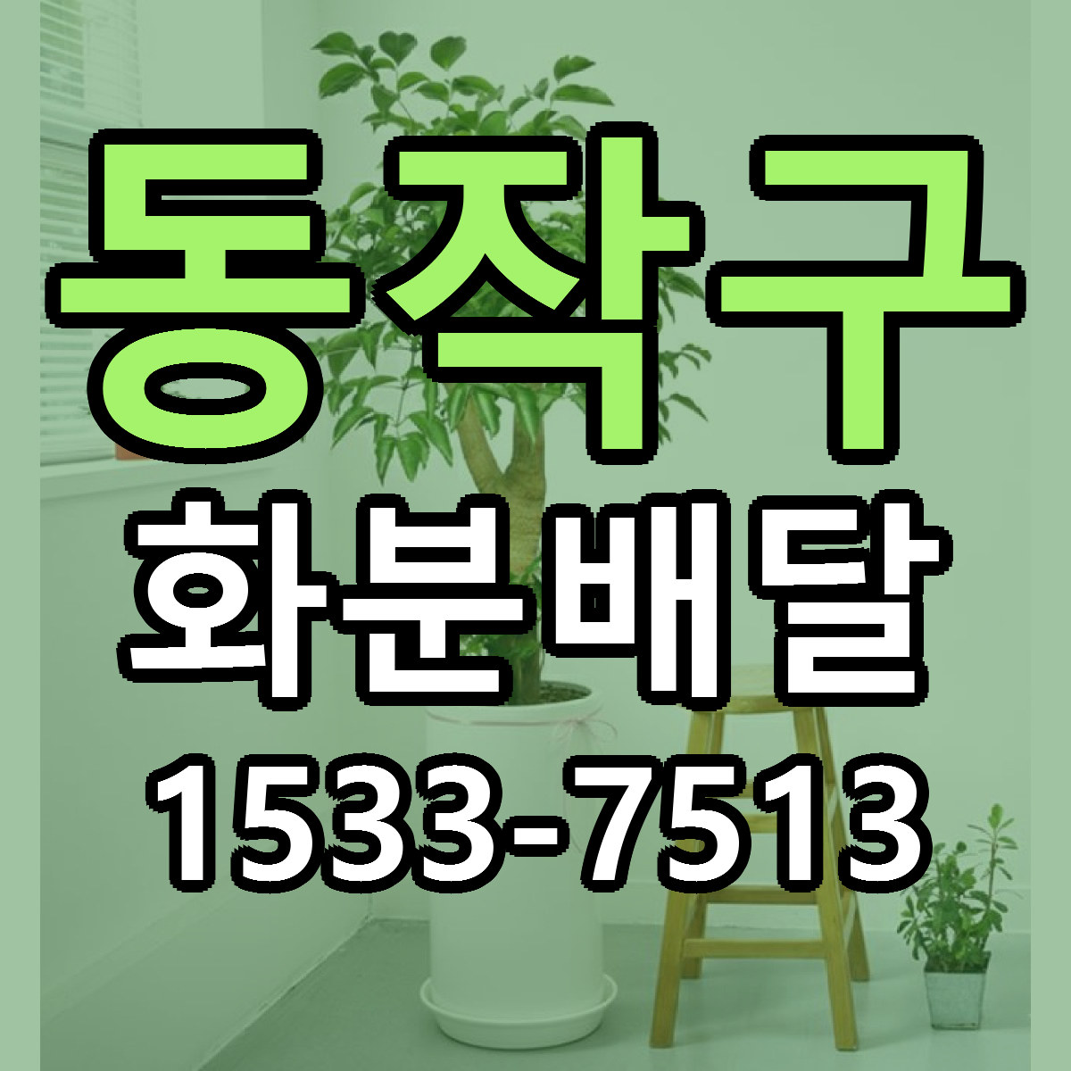 동작구 화분배달 당일배송 근처꽃집 싼곳 비교