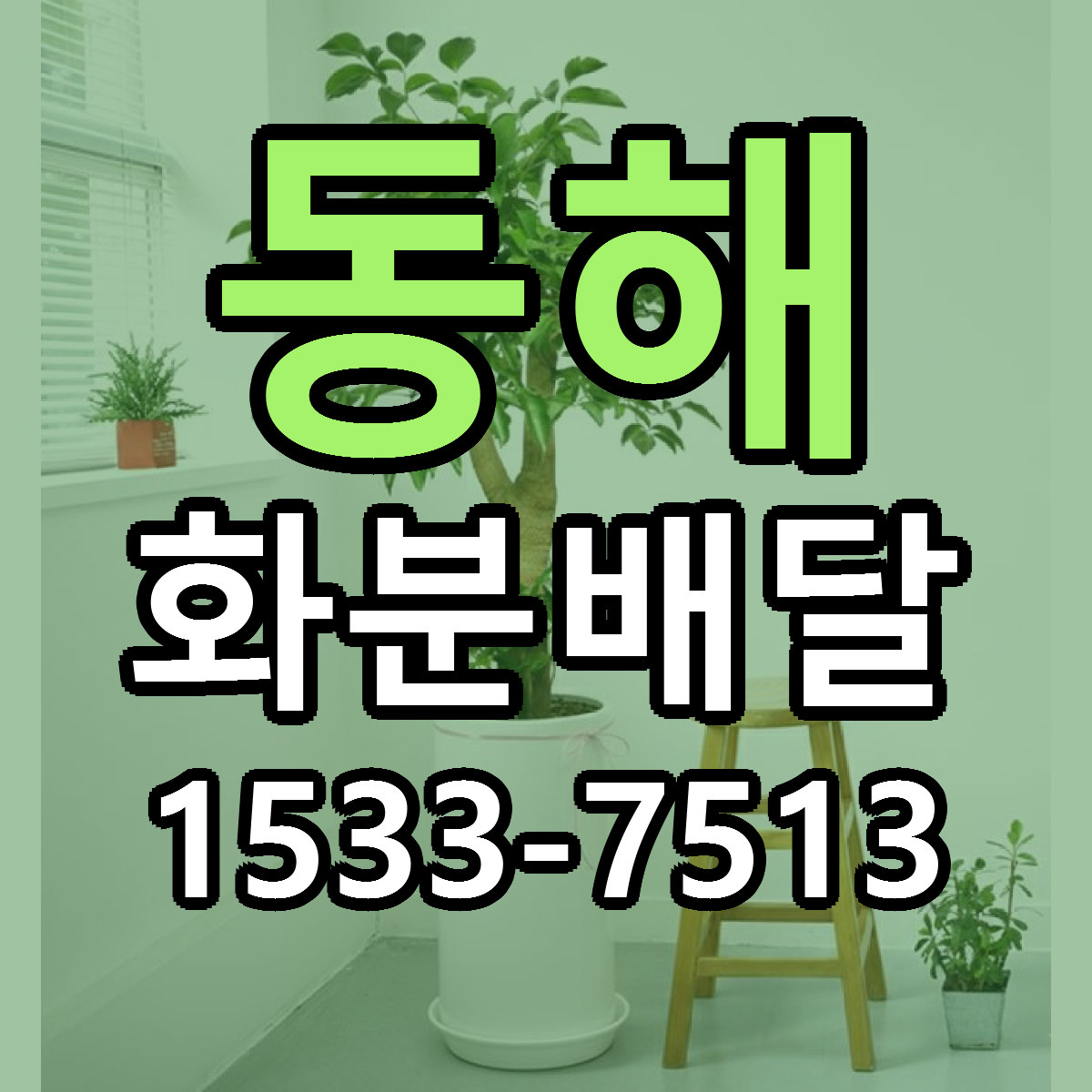 동해 화분배달 리본문구 근처꽃집 저렴한곳 예약