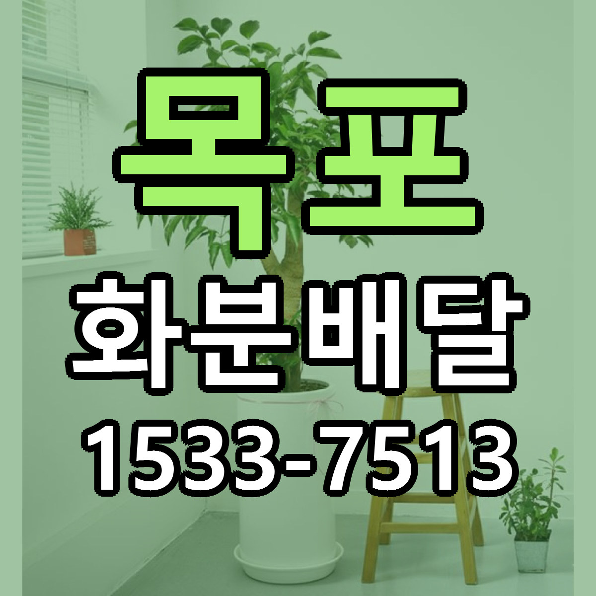 목포 화분배달 빠른배송 근처꽃집 가격 비교
