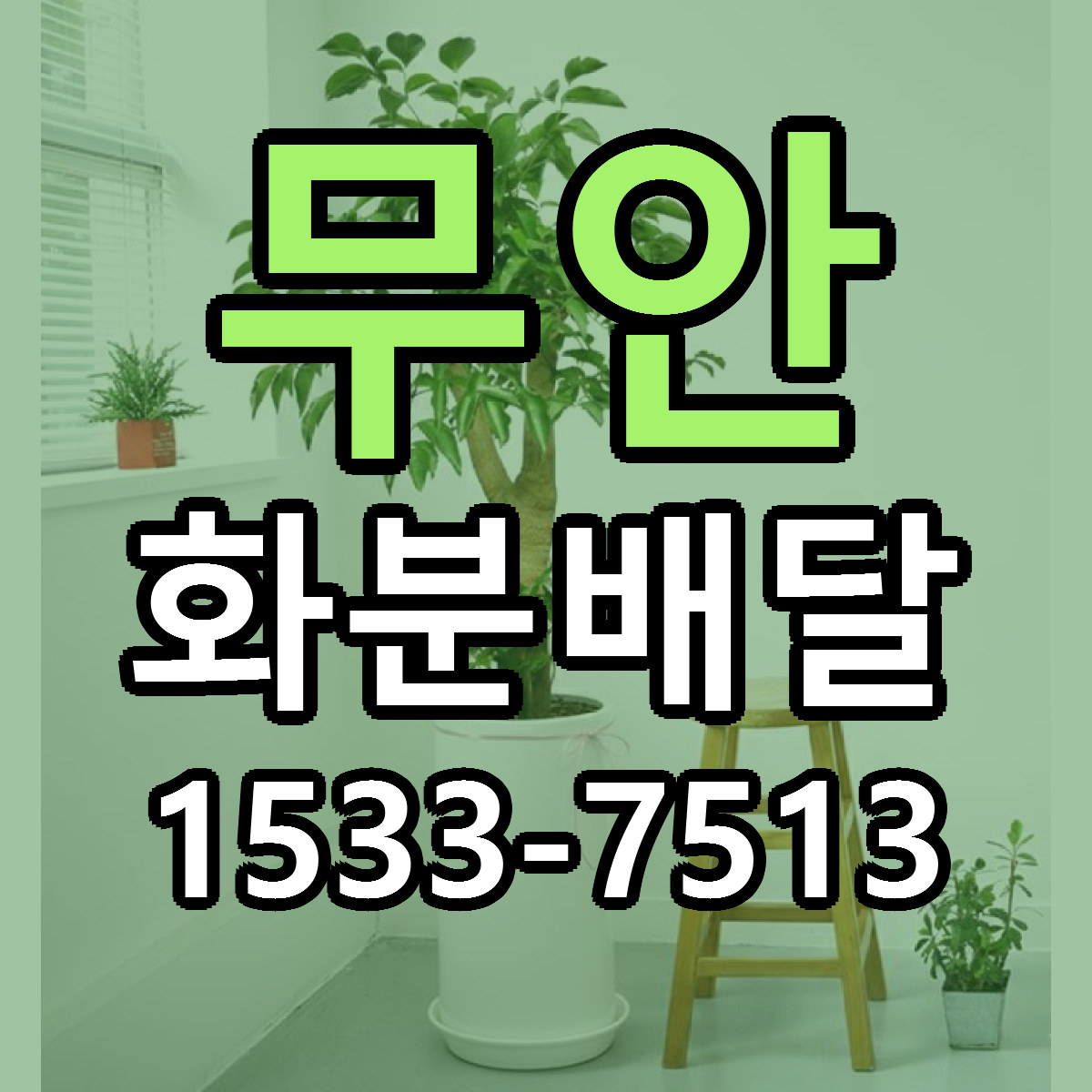 무안 화분배달 당일배송 리본문구 빠른배송 서비스