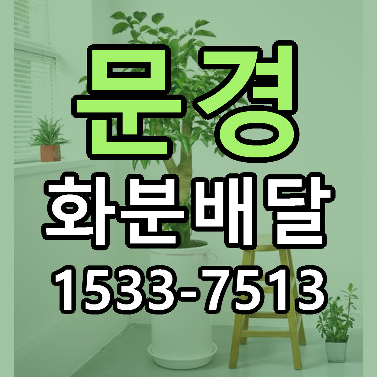 문경 화분배달 빠른배송 리본문구 가격 알뜰 비교
