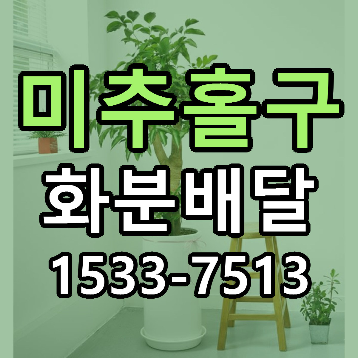미추홀구 화분배달 당일배송 가격 저렴한곳 추천