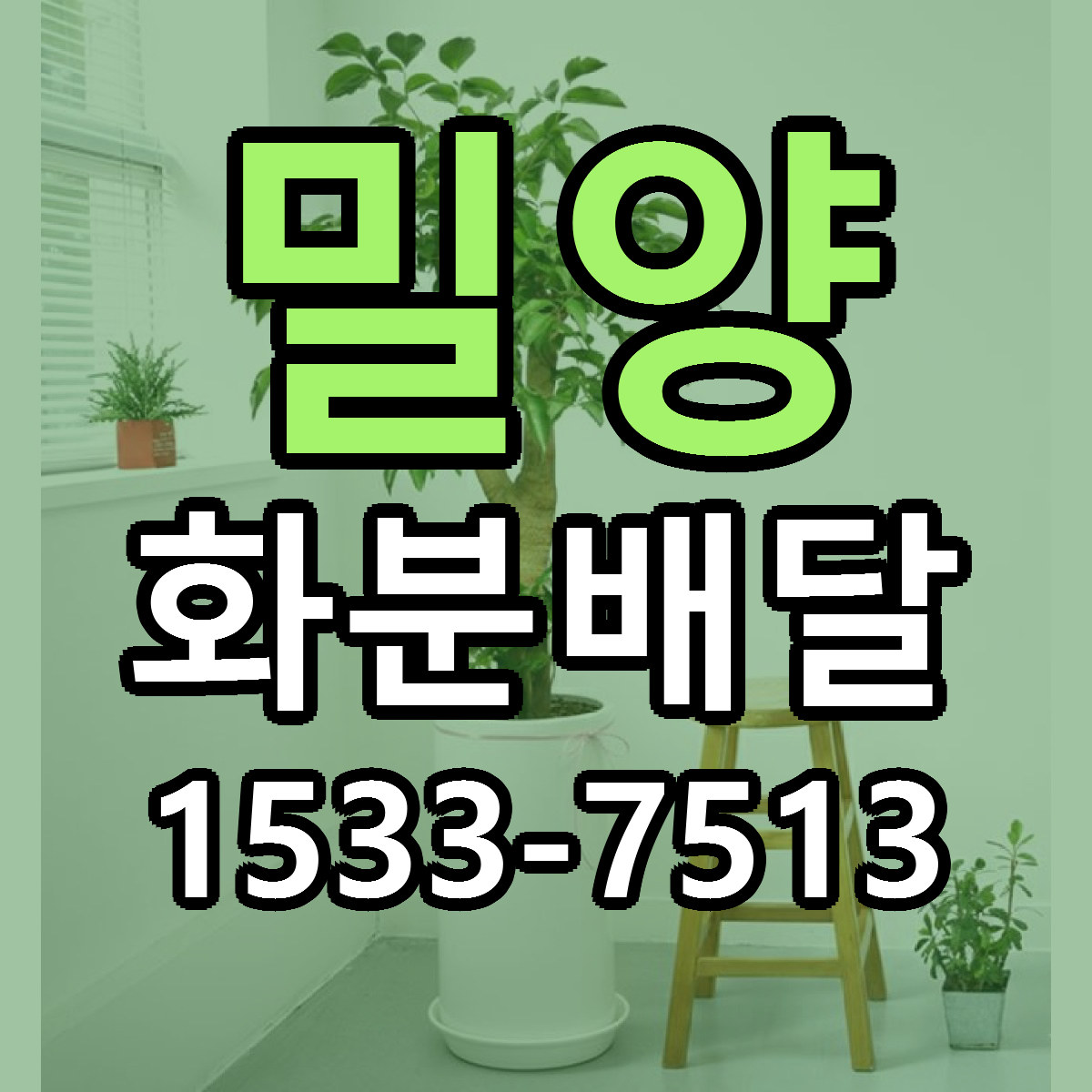 밀양 화분배달 가격 만족 저렴한곳 리본문구 작성