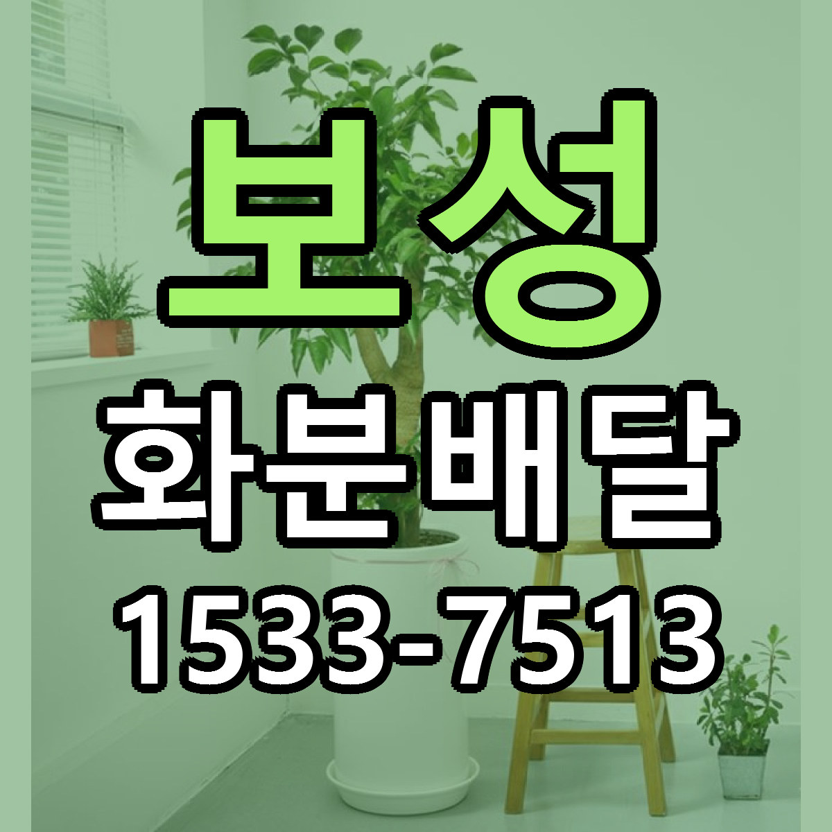 보성 화분배달 빠른배송 저렴한곳 가격 정리