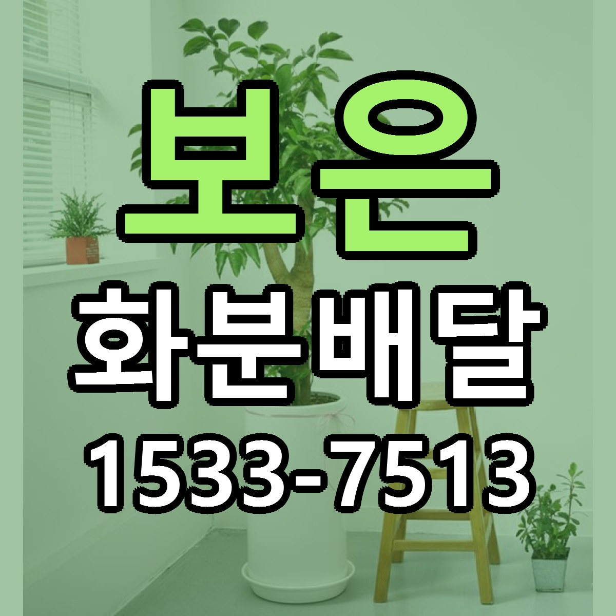 보은 화분배달 당일배송 빠른배송 싼곳 찾기