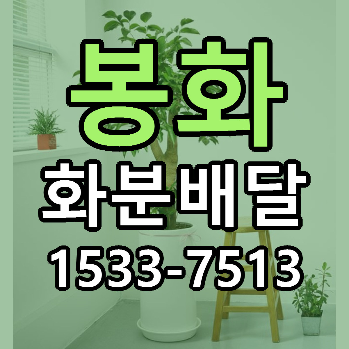 봉화 화분배달 빠른배송 싼곳 가격 문의