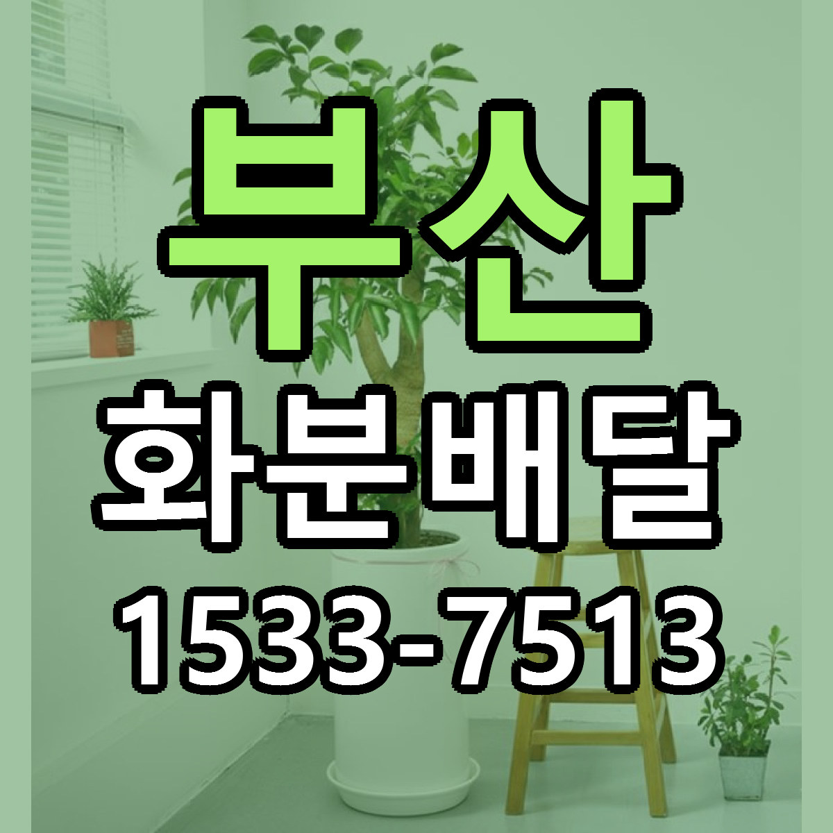 부산 화분배달 당일배송 저렴한곳 리본문구 추천
