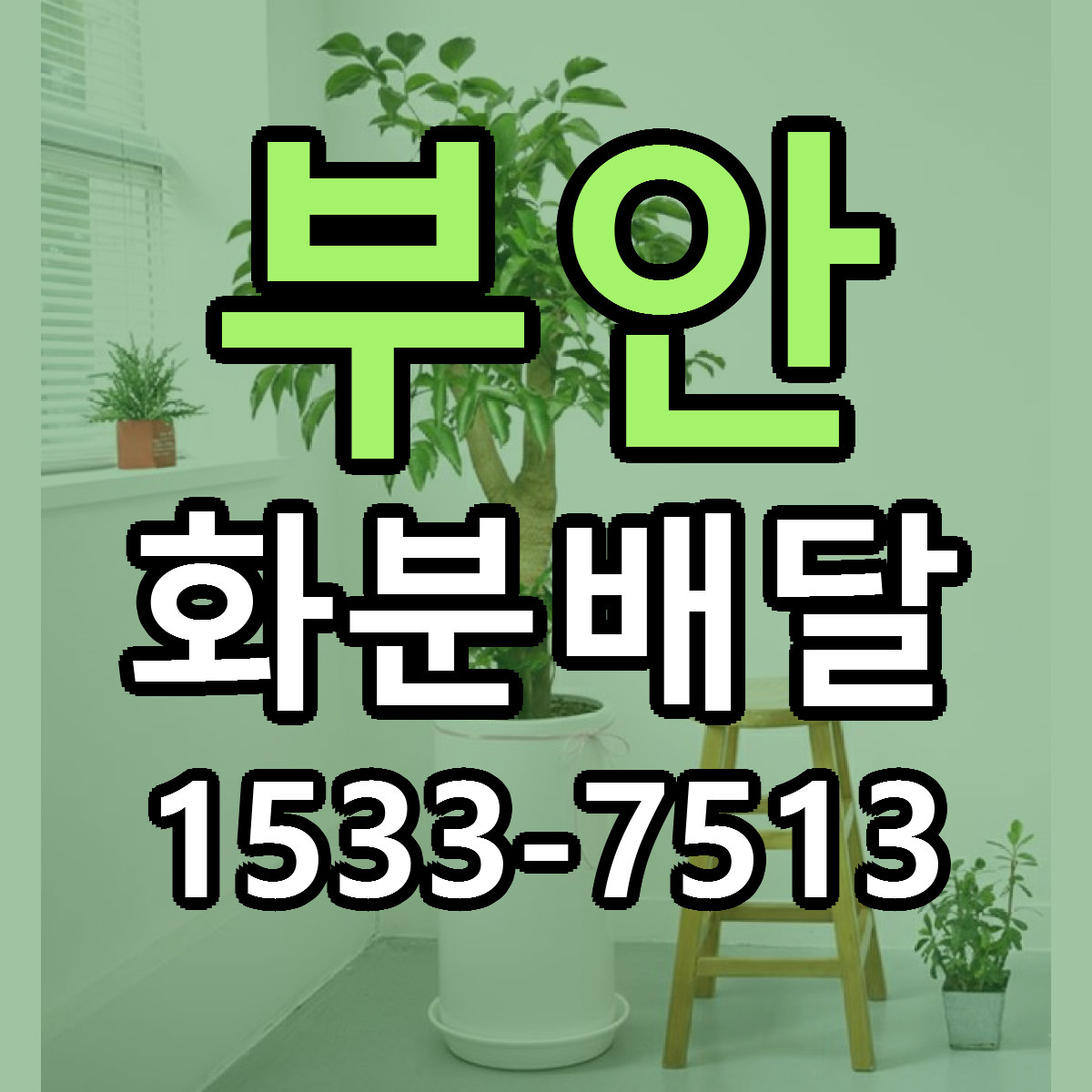 부안 화분배달 근처꽃집 당일배송 리본문구 서비스