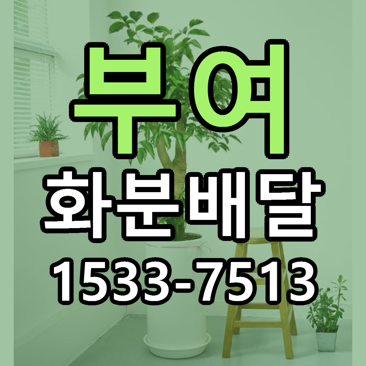 부여 화분배달 저렴한곳 당일배송 근처꽃집 추천