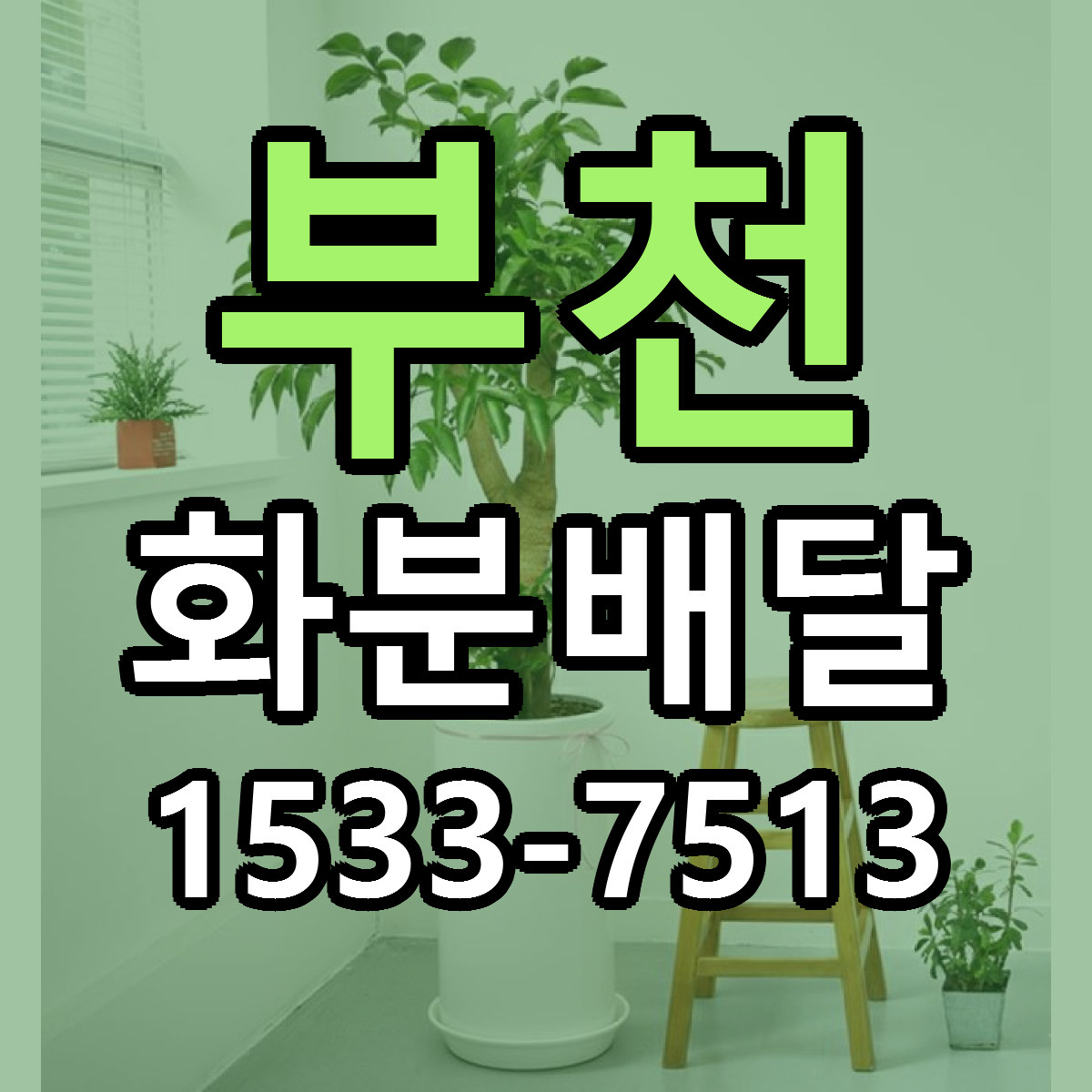 부천 화분배달 근처꽃집 당일배송 리본문구 서비스