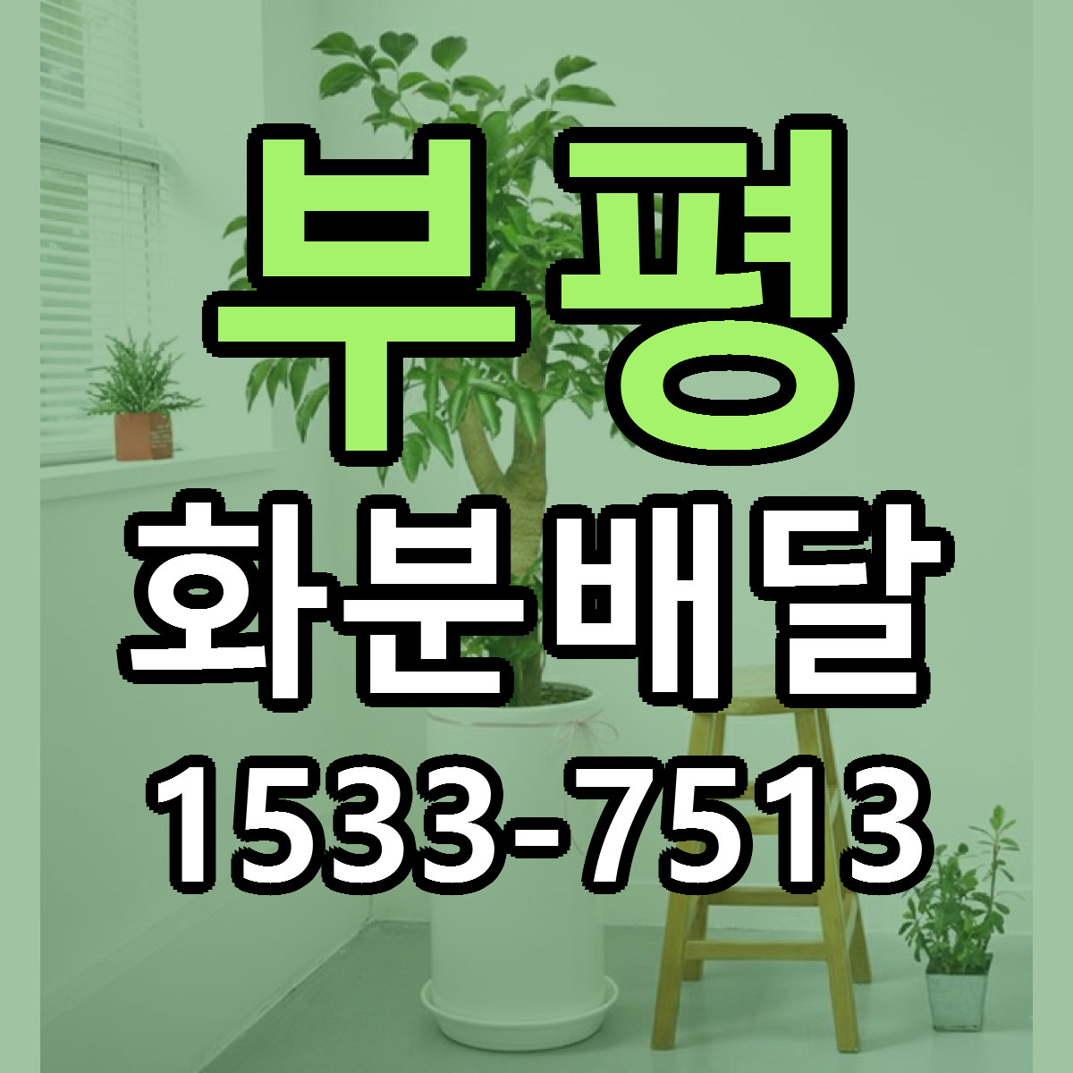 부평 화분배달 근처꽃집 저렴한곳 빠른배송 서비스