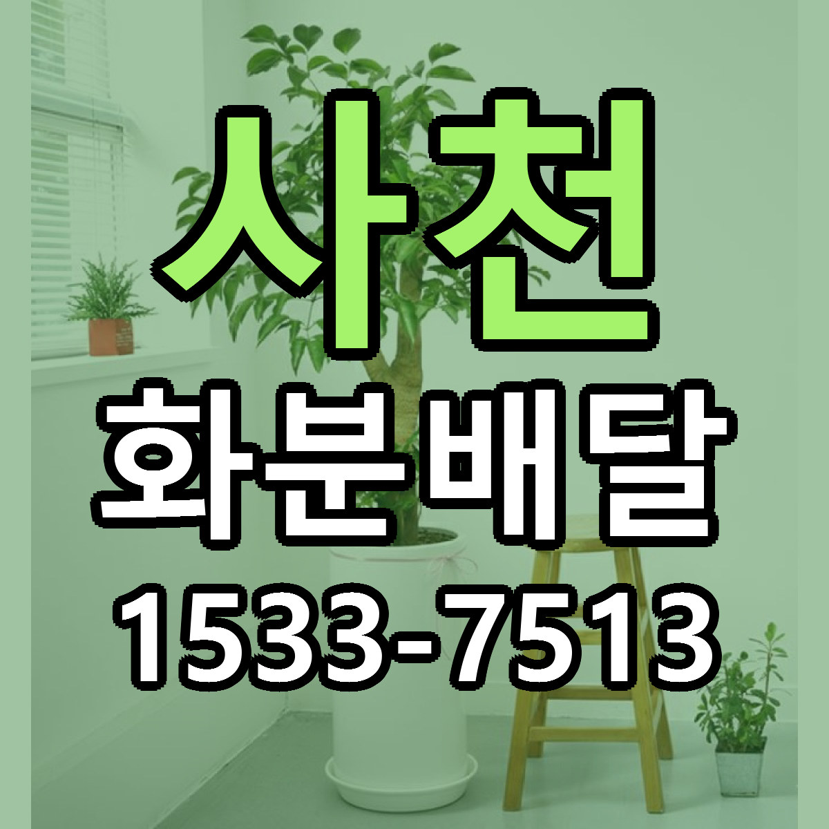 사천 화분배달 근처꽃집 당일배송 가격 안내