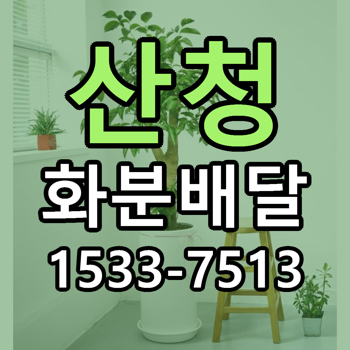 산청 화분배달 근처꽃집 싼곳 빠른배송 안내