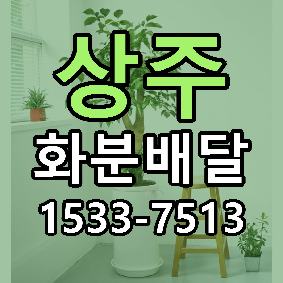 상주 화분배달 빠른배송 리본문구 근처꽃집 예약