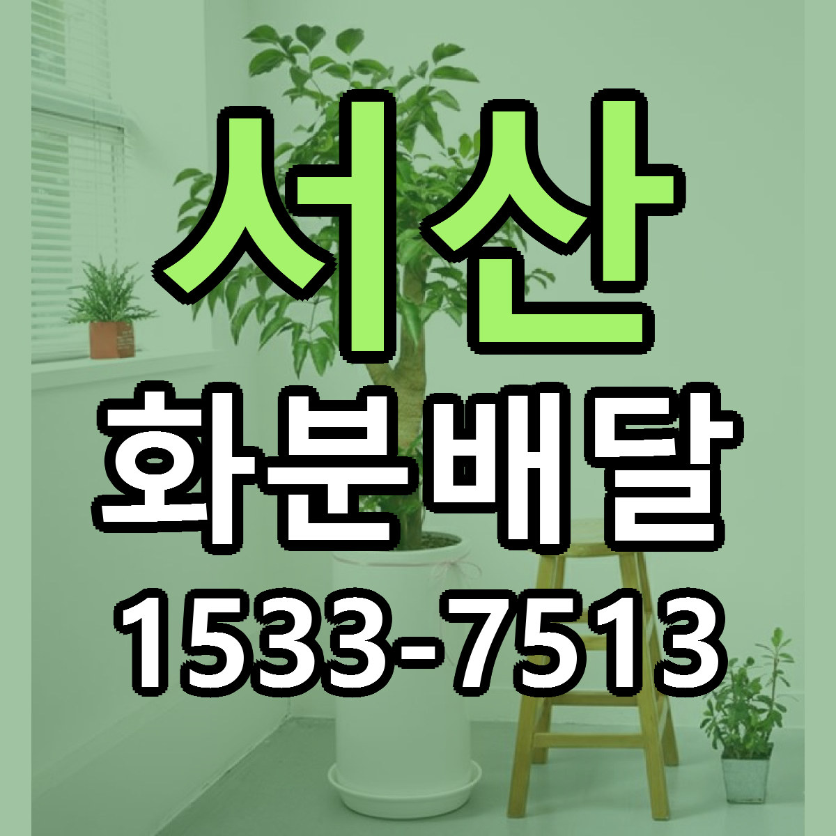 서산 화분배달 근처꽃집 당일배송 가격 안내