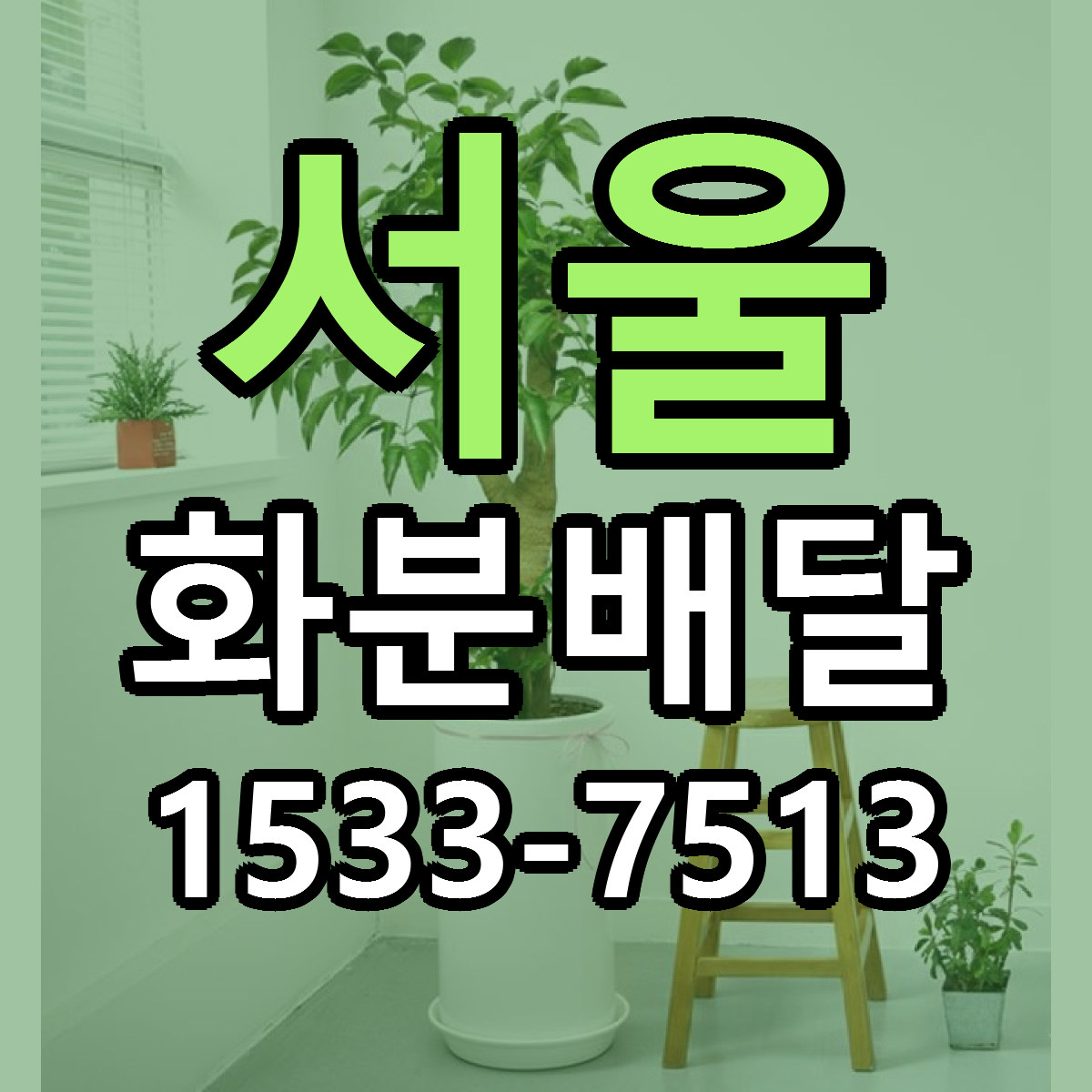 서울 화분배달 당일배송 싼곳 리본문구 안내