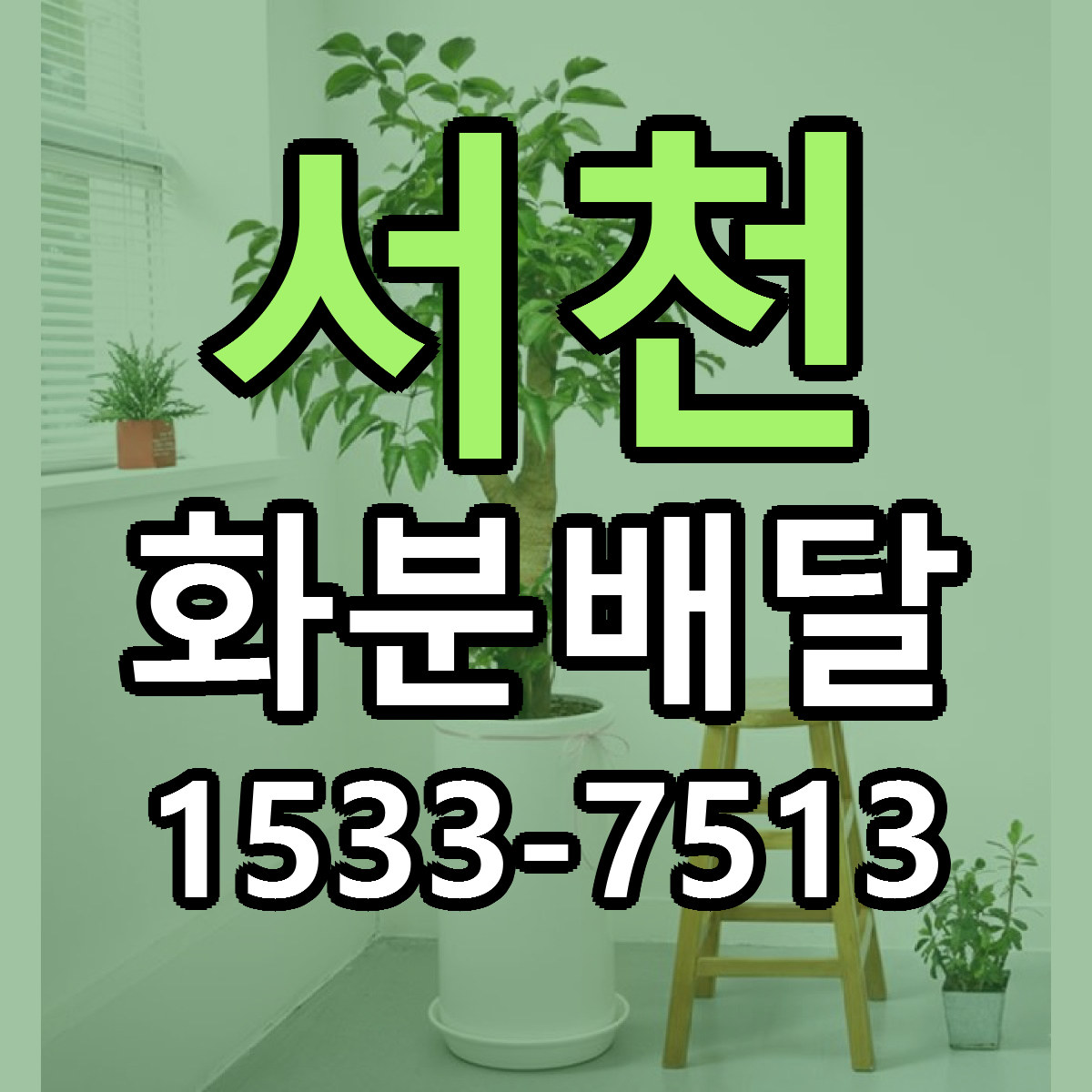 서천 화분배달 싼곳 당일배송 빠른배송 추천