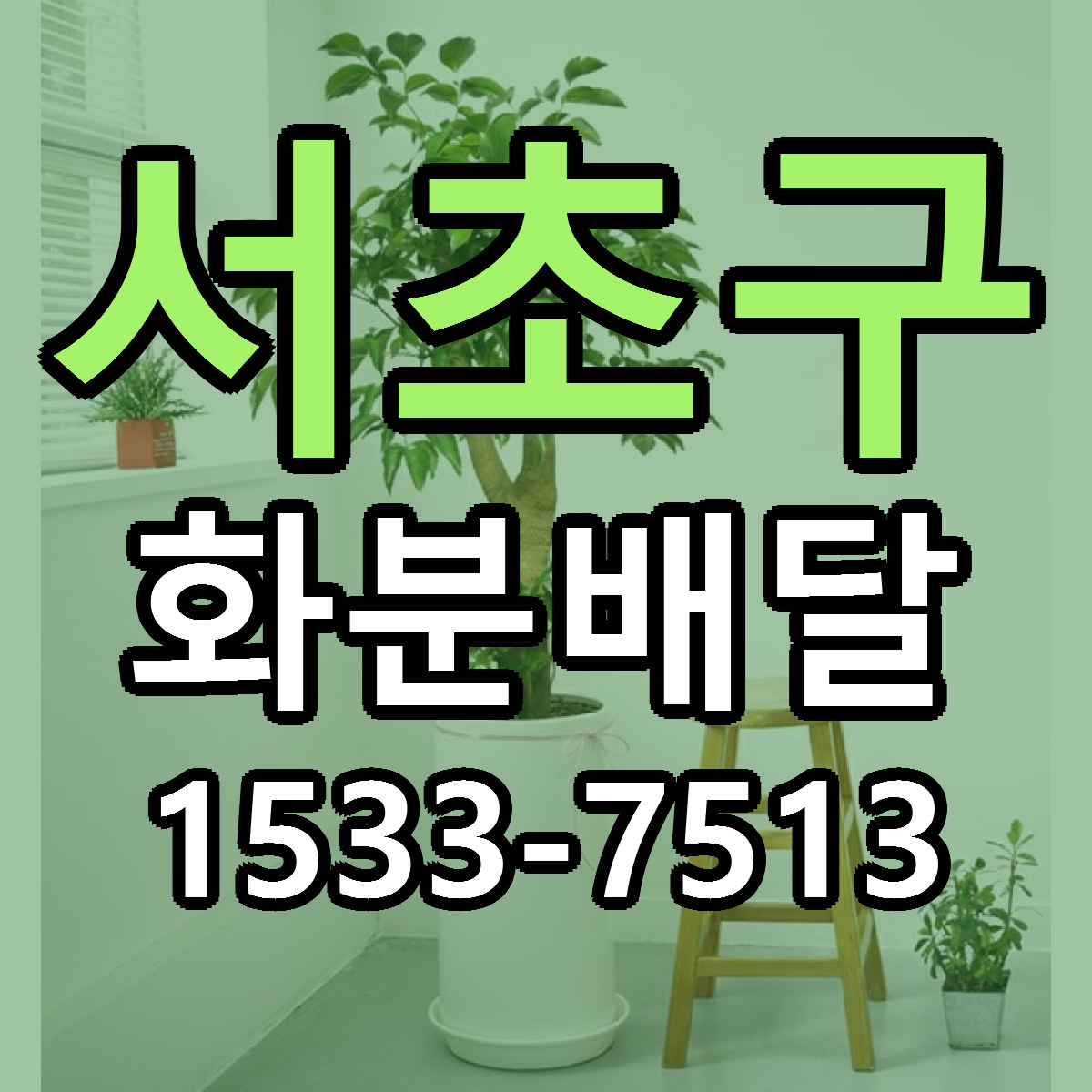 서초구 화분배달 당일배송 리본문구 싼곳 찾기