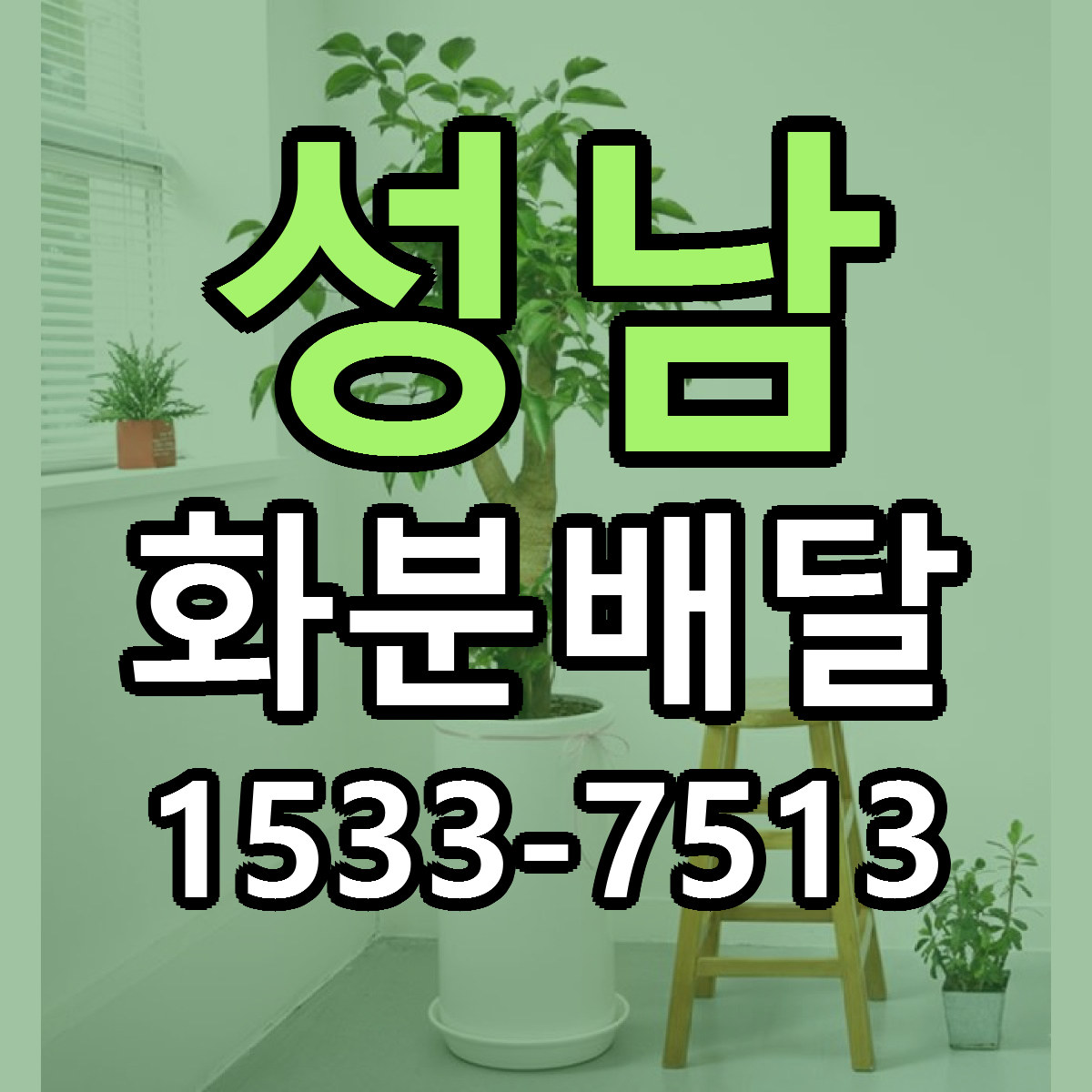 성남 화분배달 빠른배송 근처꽃집 가격 비교