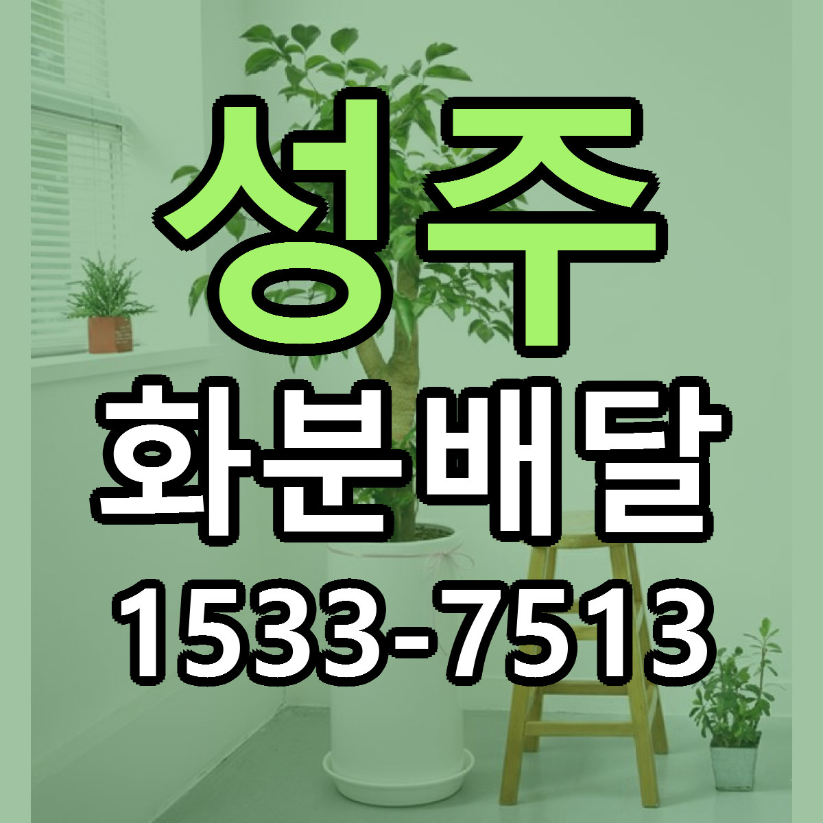 성주 화분배달 빠른배송 가격 저렴한곳 찾기