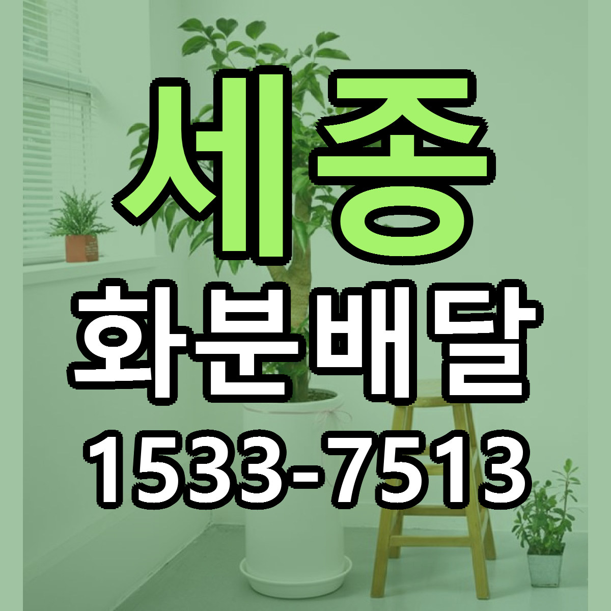 세종 화분배달 리본문구 근처꽃집 저렴한곳 예약