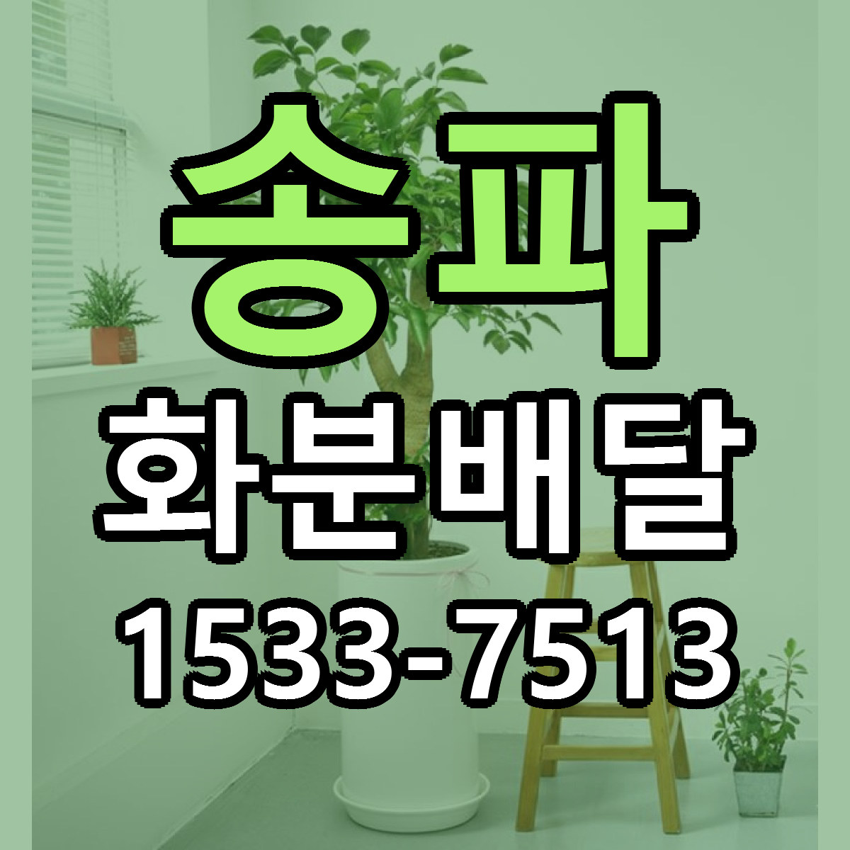 송파 화분배달 리본문구 싼곳 빠른배송 예약